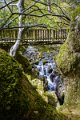 Tollymore Forest Park Newcastle Co Down (13)